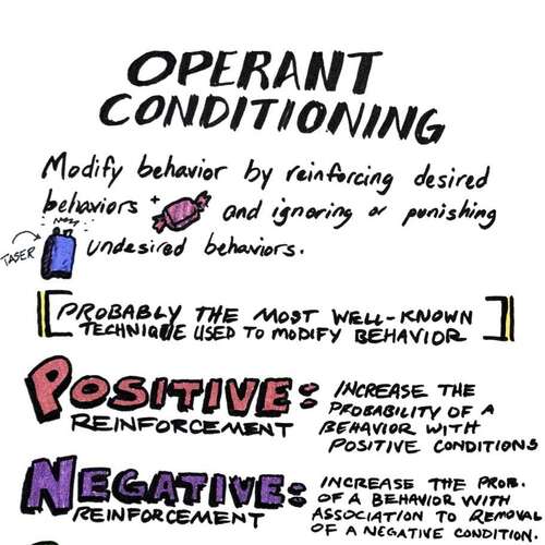 Universal Principles of Design: Operant Conditioning