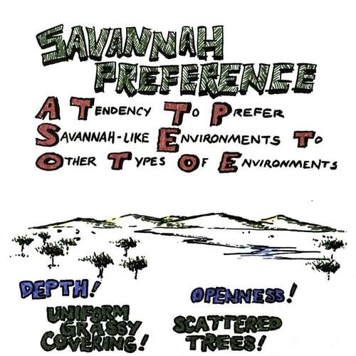 Universal Principles of Design: Savannah Preference