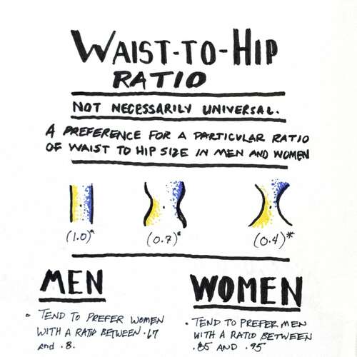 Universal Principles of Design: Waist To  Hip  Ratio