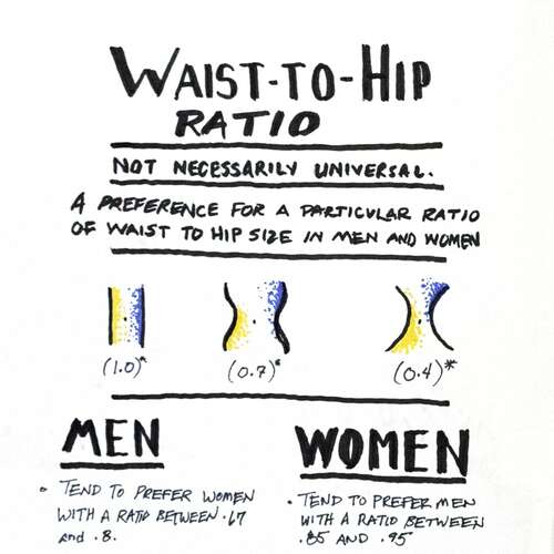 Universal Principles of Design: Waist To Hip Ratio