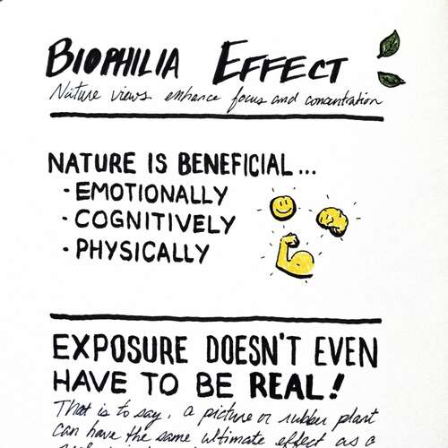 Universal Principles of Design: Biophilia Effect