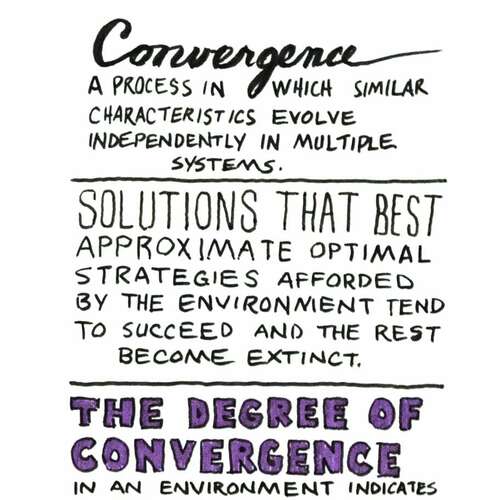 Universal Principles of Design: Convergence